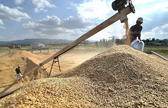Yunak'ta TMO Deposu Skandalı! 500 Milyon Liralık Hububat Satışı İddiası