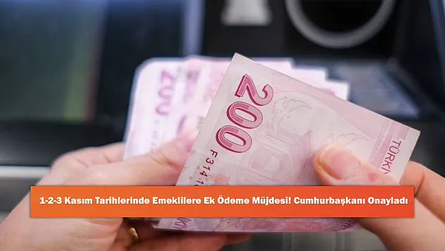 1-2-3 Kasım Tarihlerinde Emeklilere Ek Ödeme Müjdesi! Cumhurbaşkanı Onayladı