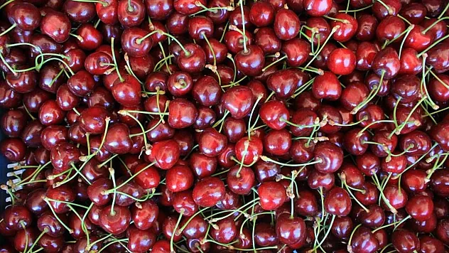 15 Aralık'ta Okullarda İlk Kez 'Coğrafi İşaret Günü' Kutlanacak!