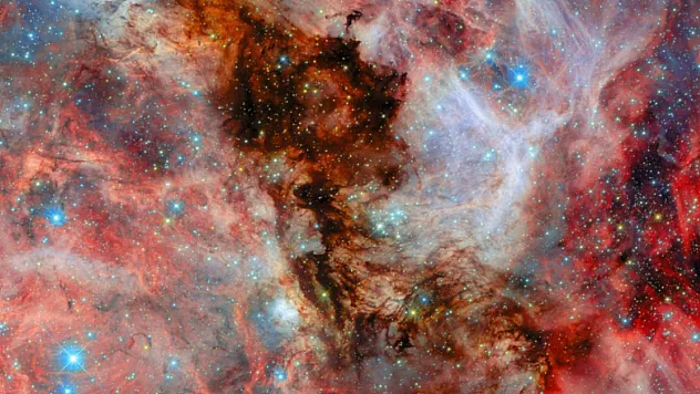 200 Bin Işık Yılı Uzaktaki Bebek Yıldızlar İlk Kez Bu Kadar Net!