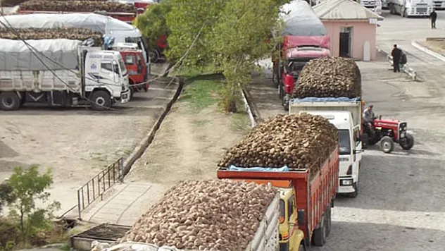Hedef 30 bin ton!..