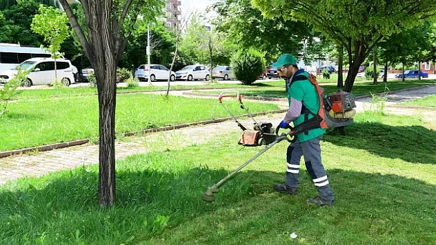 Yeşilyurt'ta yaz temizliği