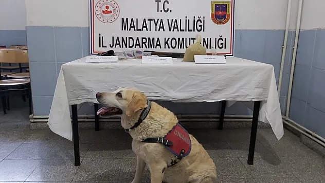 Malatya'da uyuşturucu operasyonu: 1 kişi tutuklandı!