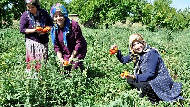 Kadın girişimcilerden kış hazırlığı için hummalı çalışma