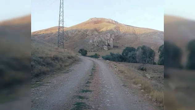 Sürücülerin Yol Talebi