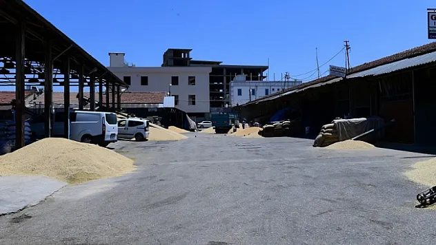 Malatya'nın kanayan yarası: Buğday pazarı!..