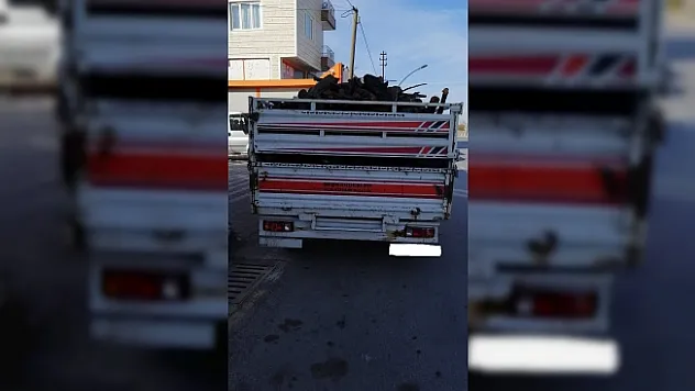 Odun hırsızları gözaltına alındı