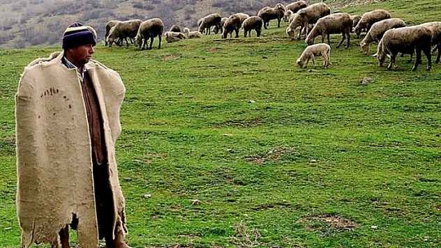 Türkiye, Afganistan'dan 150 bin çoban ithal edecek!