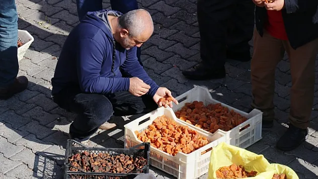 Kayısı ihracatındaki gelir bu yıl düştü!