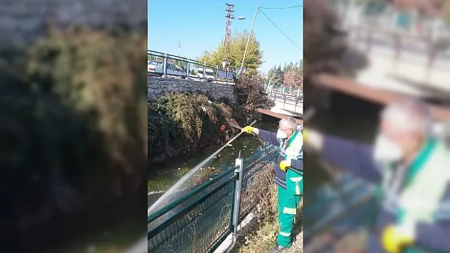 Malatya'nın 186 mahallesinde ilaçlama yapılıyor
