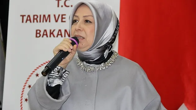'Toprak Mahsulleri Ofisi kayısı alımı yapmaya başlayacak'