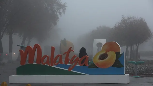 Yoğun sis Malatya'yı etkisi altına aldı
