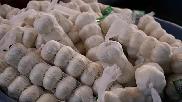Sarımsağın fiyatı bir anda yüzde 100 arttı!