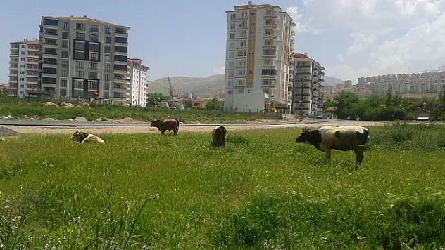 Çiftçi proje başvuruları o tarihe kadar uzatıldı!