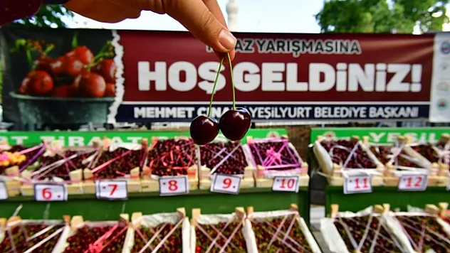 Yeşilyurt'ta en iyi kiraz ve bahçesi ödülleri sahiplerini buldu