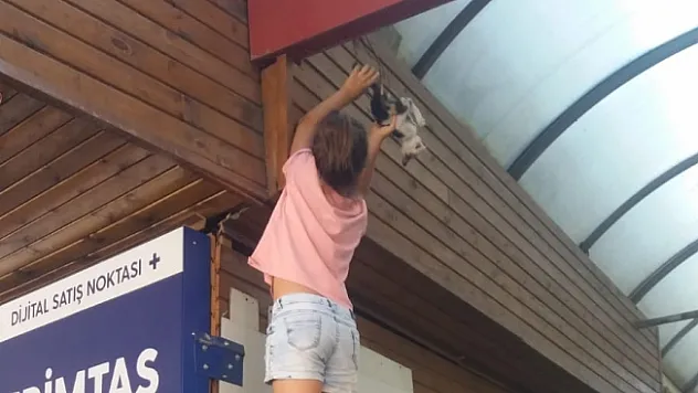 Boynuna ip dolandı, boğulmaktan son anda kurtuldu!