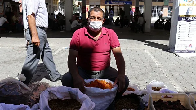 Kayısı, bu sezon üreticisinin yüzünü güldürecek