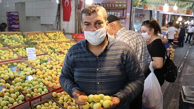 Sezonun son yaş kayısıları tezgahlardaki yerini aldı