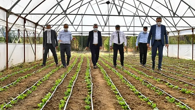 Seracılığı öğrenip sertifika aldılar