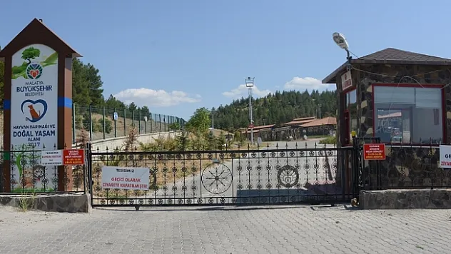 Sokak hayvanlarına şefkat eli