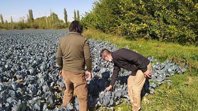 Esenlik ile anlaşıldı! Malatyalılar doğal ve ucuz sebzeye ulaşabilecek!