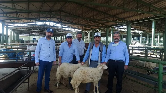Akın, canlı hayvan pazarını ziyaret etti