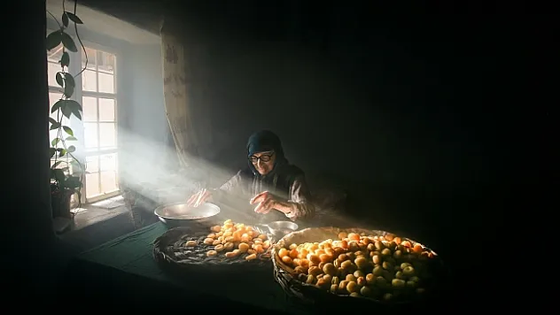 Battalgazi Kayısı Hasadı Fotoğraf Yarışması kazananları belli oldu