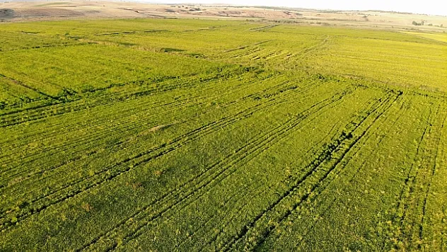 Cumhurbaşkanı açıkladı, çeltik üreticilerinin yüzü güldü