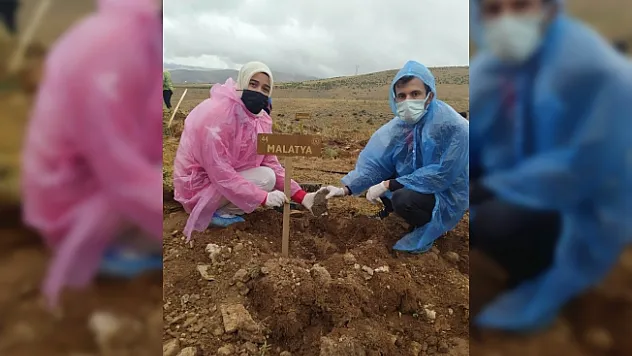 Malatya'dan Kırşehir'e Ahi fidanı