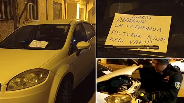 Araç motoruna sıkışan kedi Büyükşehir itfaiye ekipleri tarafından kurtarıldı