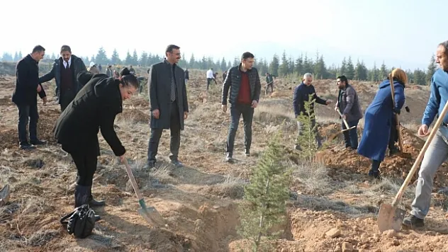 Betül Dürgen Hatıra Ormanı'na 250 fidan