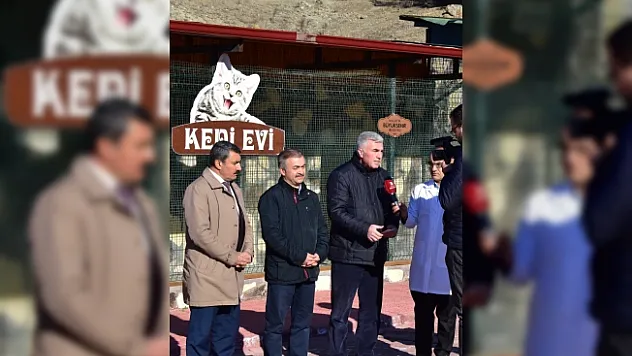 Büyükşehir Belediyesinden sokak hayvanlarına şefkat eli