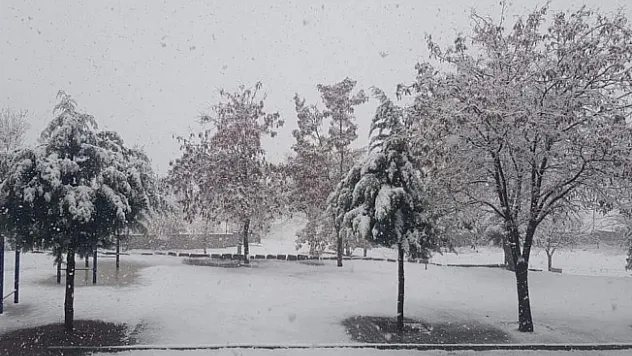 Doğanşehir'de kar yağışı başladı