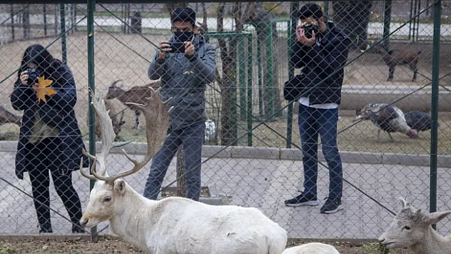 Kent Konseyinden Dijital Fotoğrafçılık Kursu