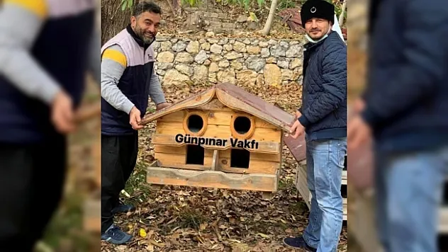 Kış öncesi sokak kedilerine şefkat eli