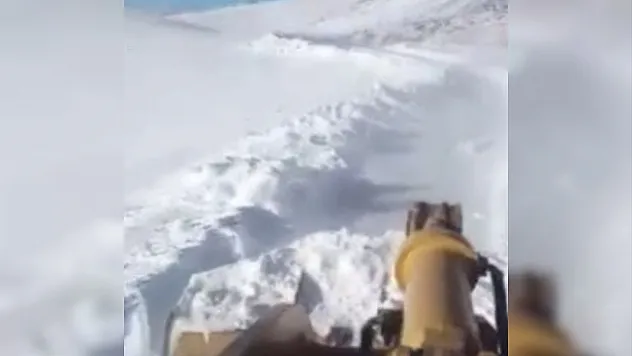 Erzurum'da 2 kişi çığ altında kaldı!