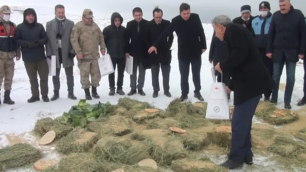 Pütürge'de yaban hayvanları unutulmadı