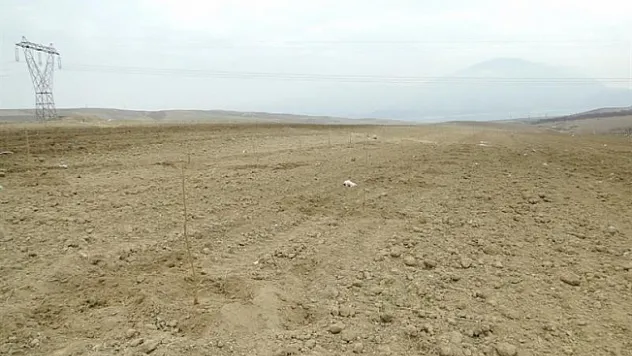 Üretime katkı için mera ve yaylaklar kiralanacak