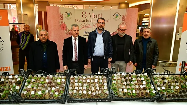 Çınar'dan kadınlara 'Sukulent' çiçek hediyesi