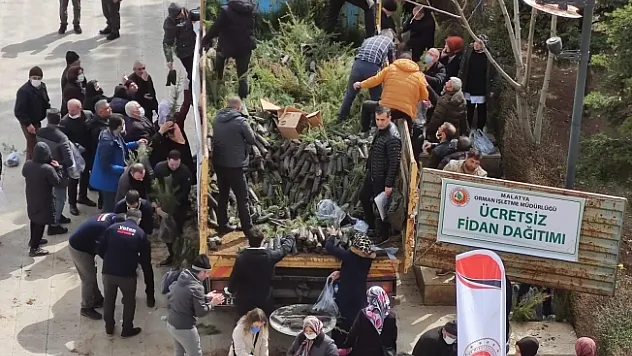 Malatya'da ücretsiz fidan dağıtımı