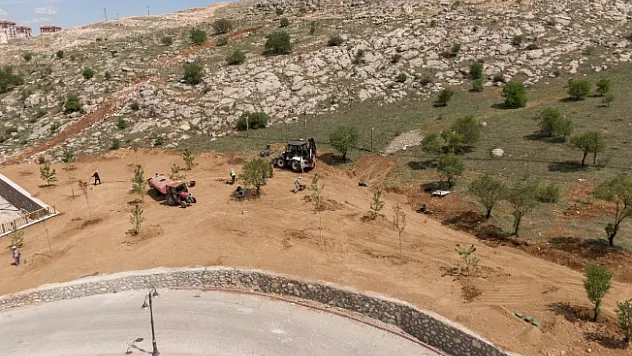Beydağı Tabiat Parkında çalışmalar devam ediyor