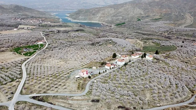 Malatya beyaz gelinliğini giydi!