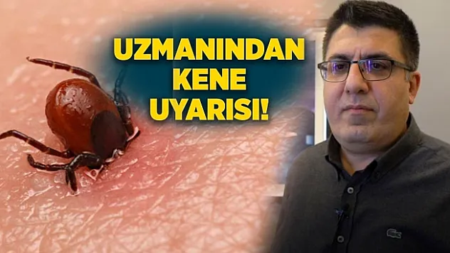 Prof. Dr. Özden: Kene görüldüğünde sağlık kurumlarına başvurulmalı