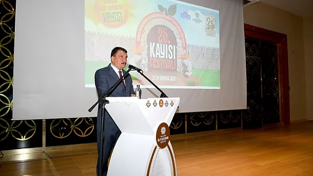 25. Kayısı festivali öncesi hazırlıklar masaya yatırıldı