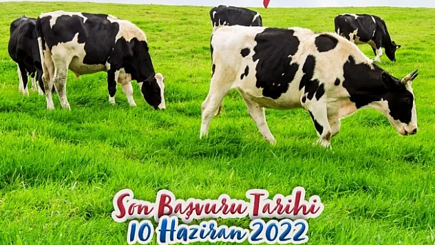 Büyükşehir Belediyesi sertifikalı kurban kesim kursu düzenliyor