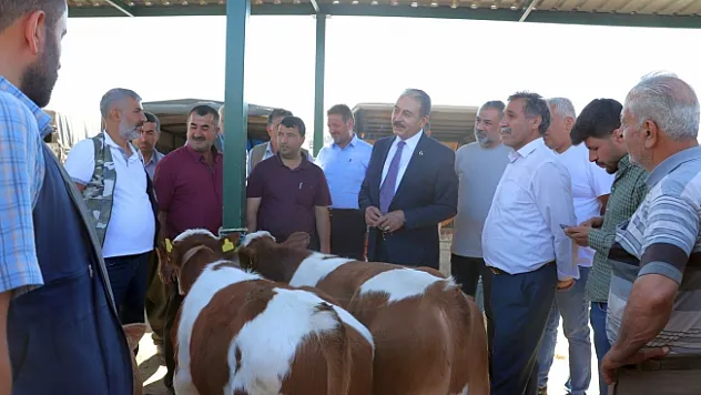 Keskin: Halkımız kurbanını marketlerde değil, yetiştiriciden ve köylüden alsın