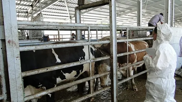 Kurban Bayramı öncesi sıkı denetim