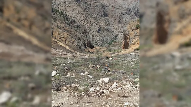 Şarampole yuvarlanan traktörün sürücüsü yaralandı