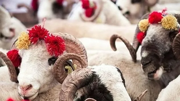 Malatya protokolünden Kurban Bayramı mesajları