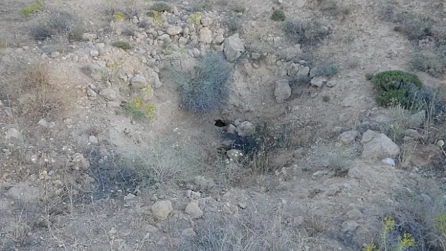 'Altında altın var' söylentisi höyüğü savaş alına çevirdi